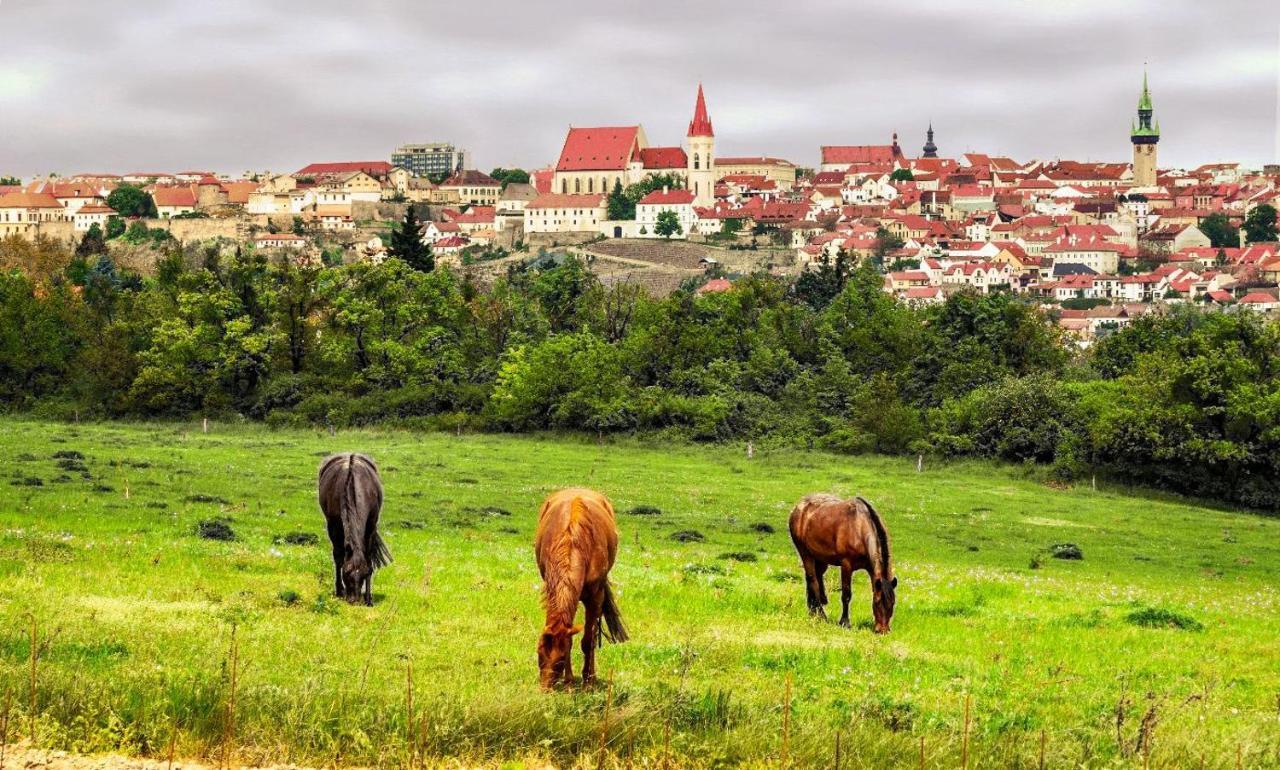 VÁŠ SKLEP - vinný sklep a penzion Znojmo Exterior foto