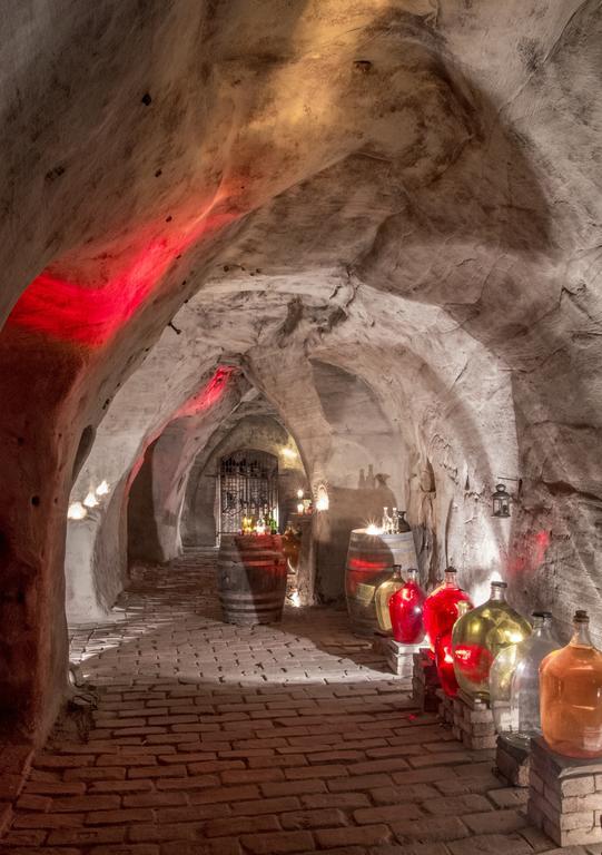 VÁŠ SKLEP - vinný sklep a penzion Znojmo Exterior foto