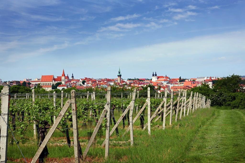 VÁŠ SKLEP - vinný sklep a penzion Znojmo Exterior foto